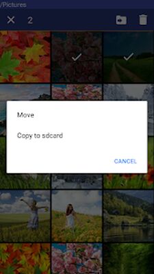 Download Gallery Safe (Premium MOD) for Android