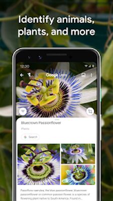 Download Google Lens (Premium MOD) for Android