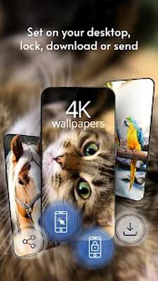 Download Beautiful wallpapers 4k (Pro Version MOD) for Android